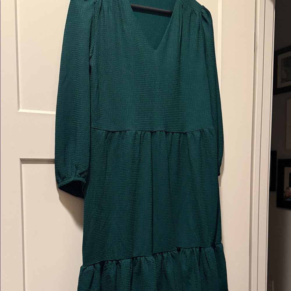 Sandra Darren Hunter Green Long Sleeve Dress